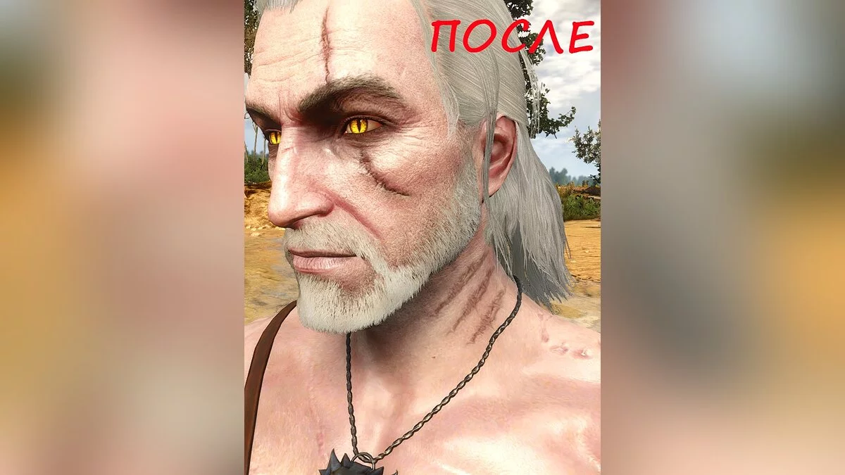 The Witcher 3: Wild Hunt - Complete Edition — Истинный ведьмак