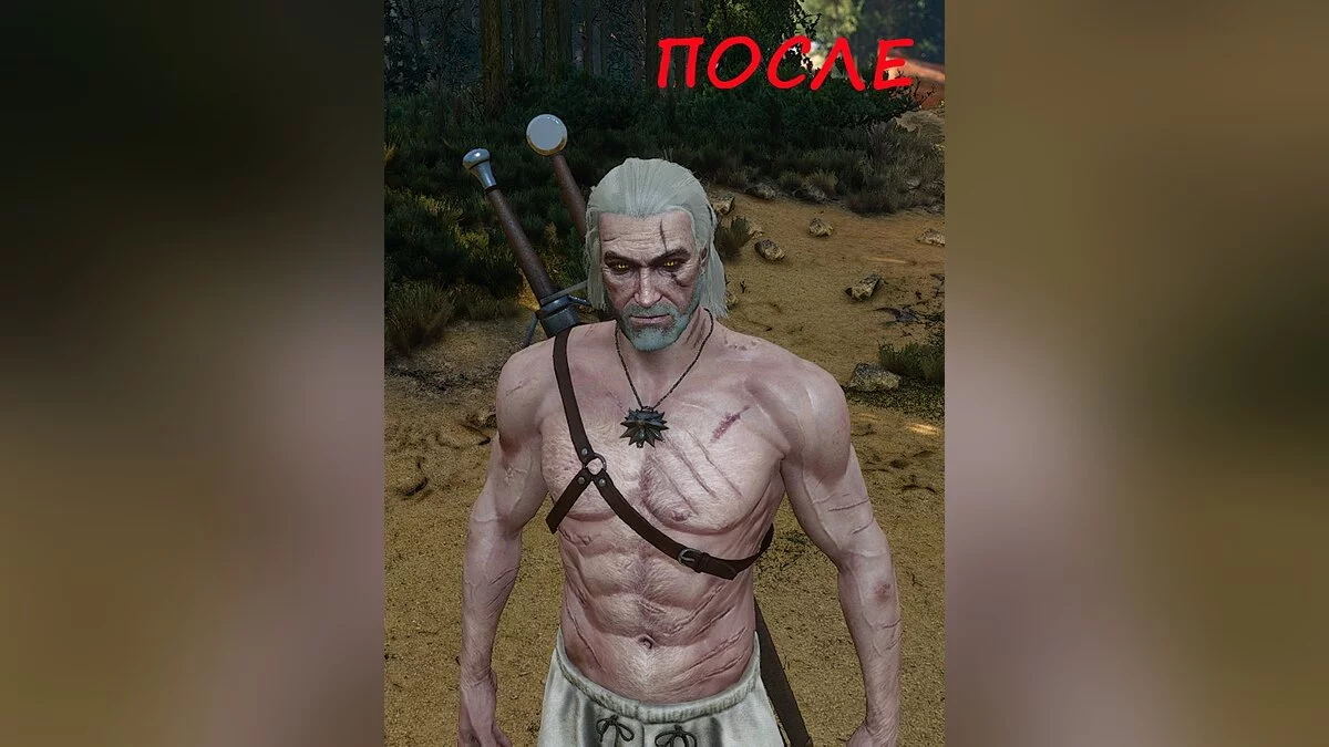 The Witcher 3: Wild Hunt - Complete Edition — Истинный ведьмак