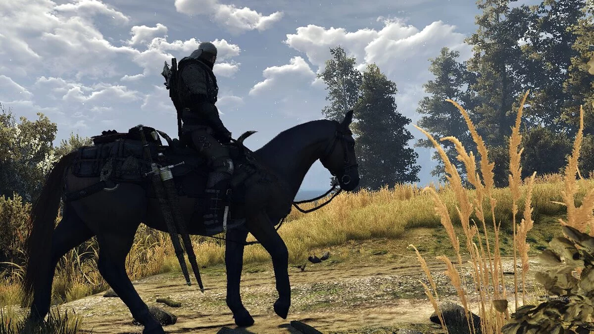 The Witcher 3: Wild Hunt — Вешать мечи на Плотву