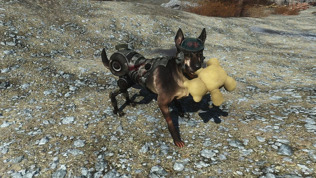 Fallout 4 — Киберпёс Рекс вместо Псины