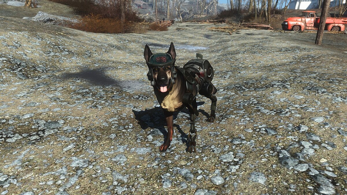 как fallout 4 позвать собаку в fallout 4 фото 95