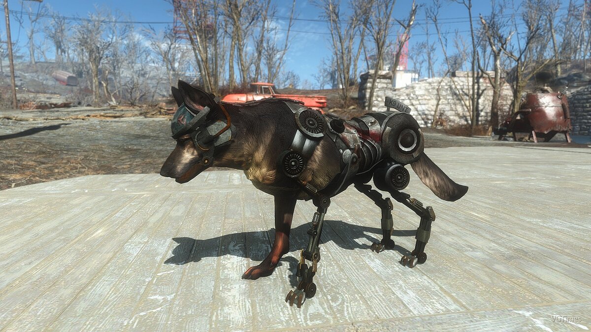 Fallout 4 dogmeat no фото 110