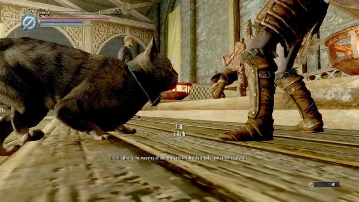 The Elder Scrolls 5: Skyrim — Возможность играть за кота