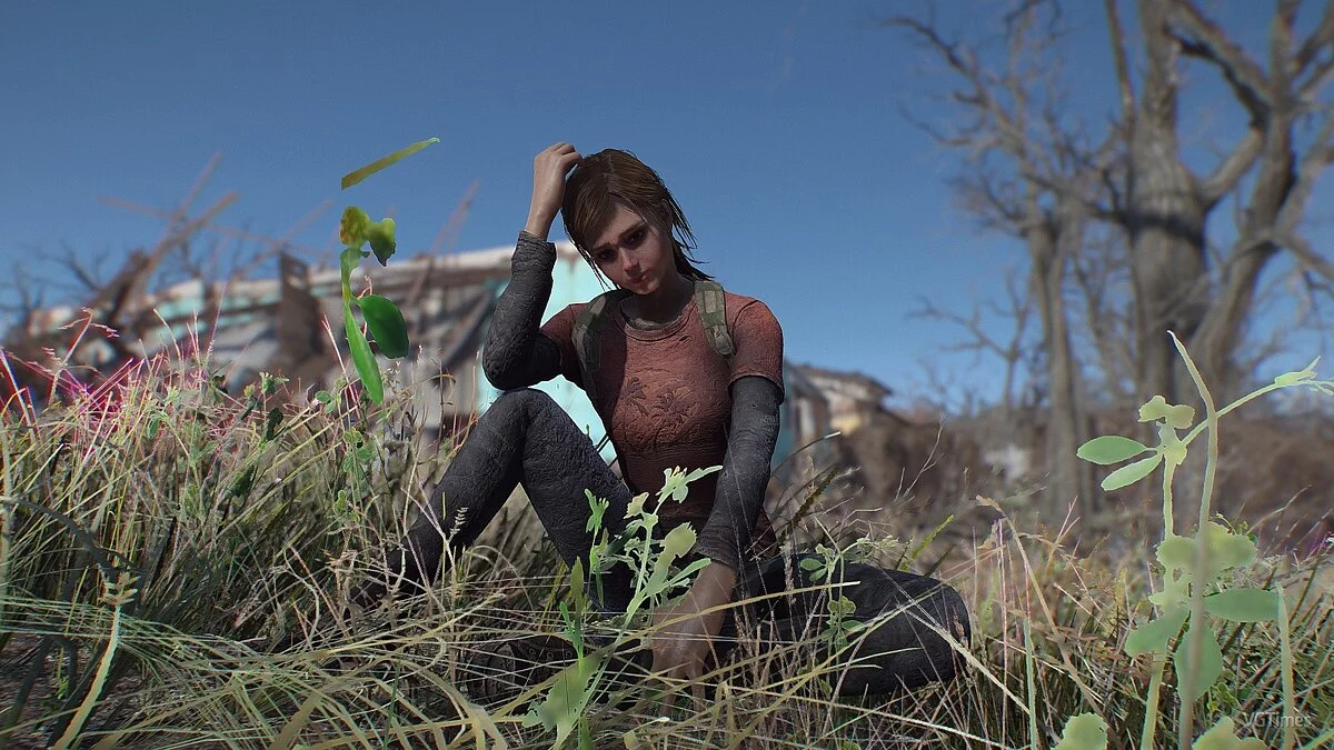 Fallout 4 — Элли из The Last of Us 2