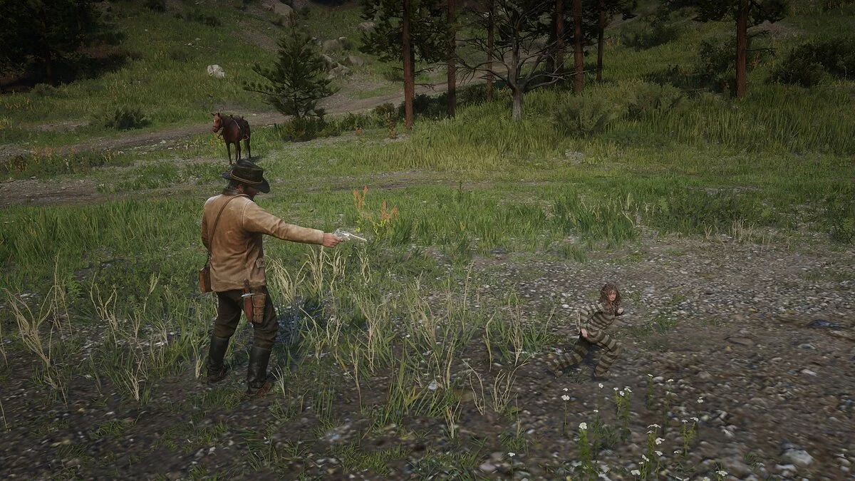 Red Dead Redemption 2 — Уменьшитель