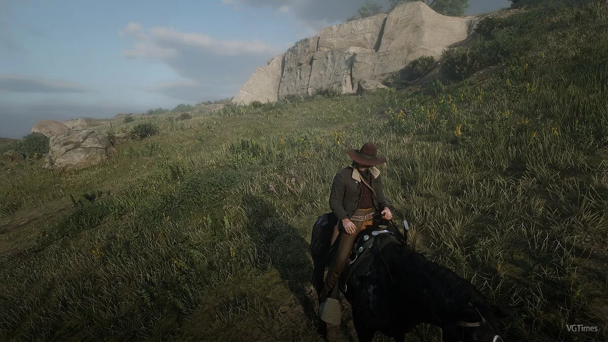 Red Dead Redemption 2 — Снижение виньетки