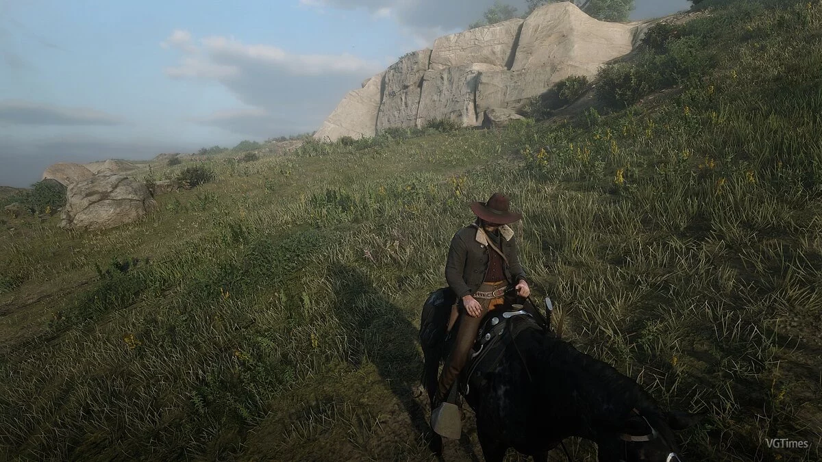 Red Dead Redemption 2 — Снижение виньетки