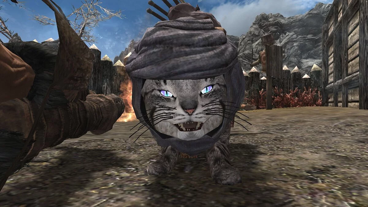 The Elder Scrolls 5: Skyrim — Существа Нирна - Каджит Альфик