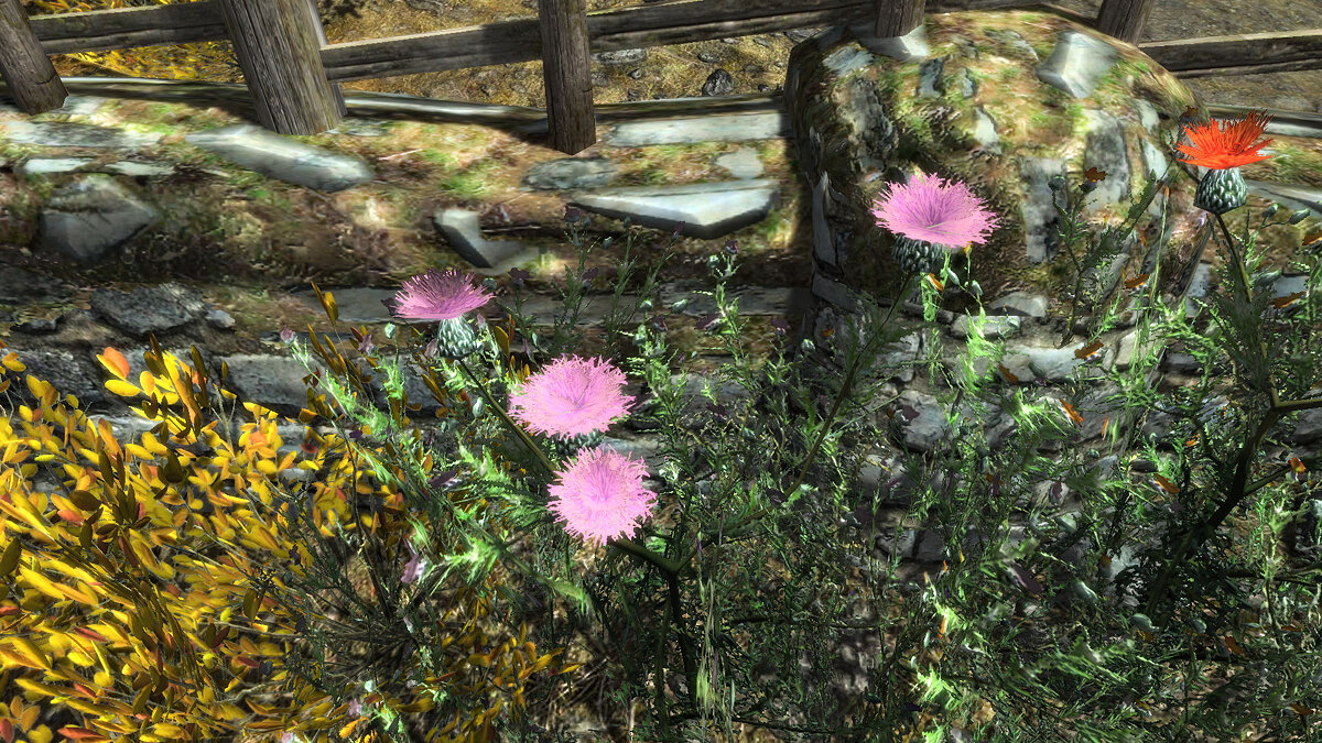 Elder Scrolls 5: Skyrim Special Edition — Новые цветы