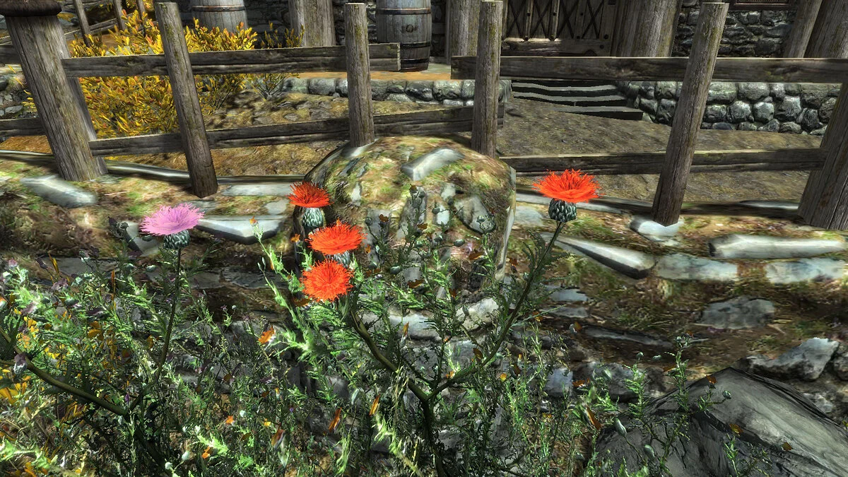 Elder Scrolls 5: Skyrim Special Edition — Новые цветы