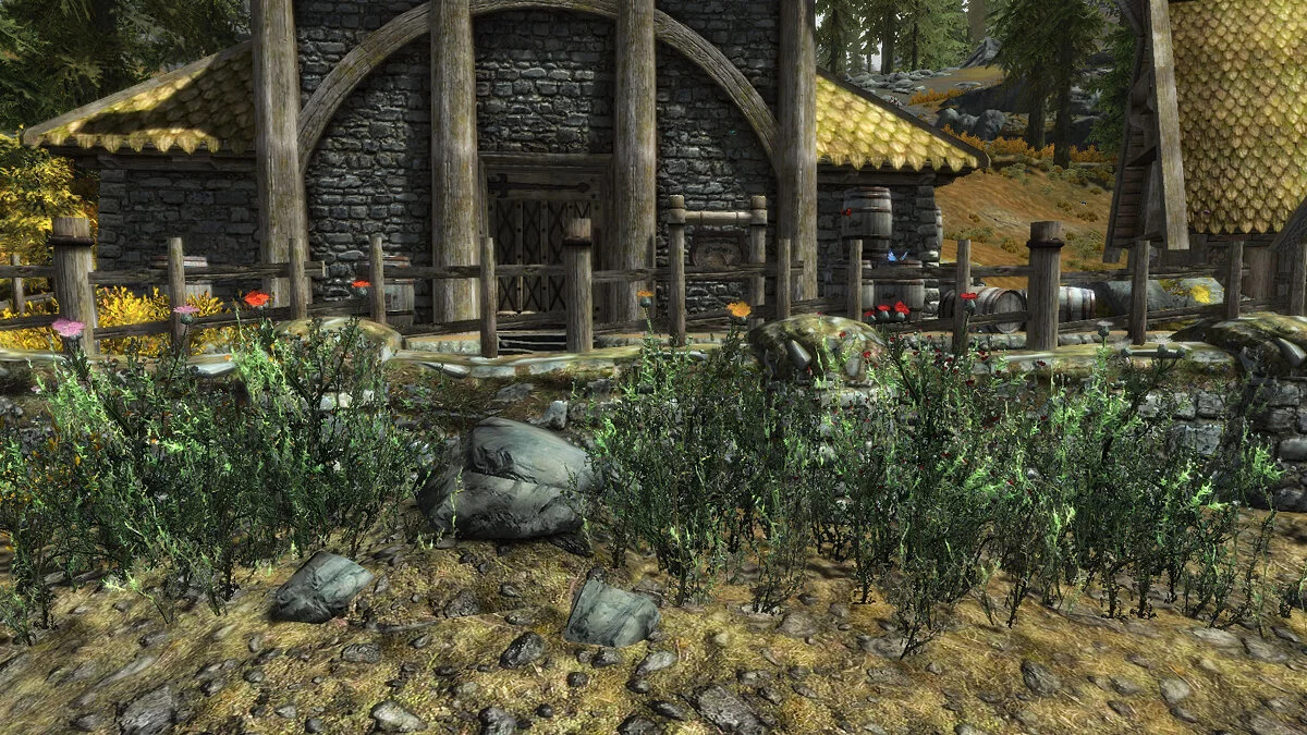 Elder Scrolls 5: Skyrim Special Edition — Новые цветы