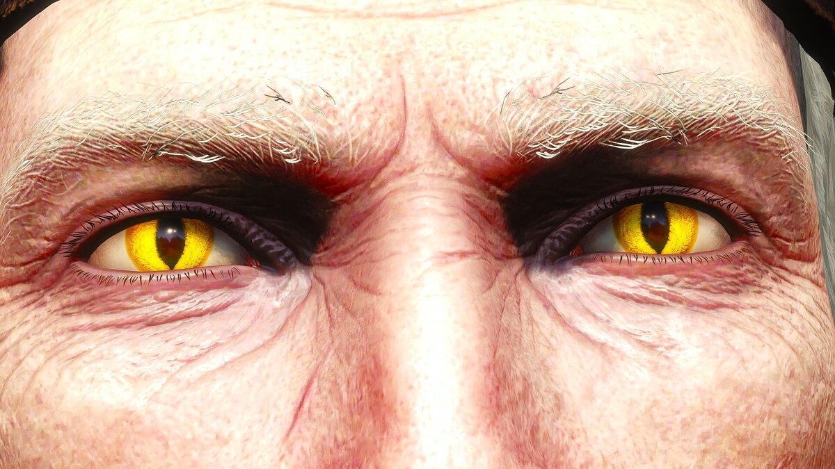 The Witcher 3: Wild Hunt — Реалистичные глаза в 4K