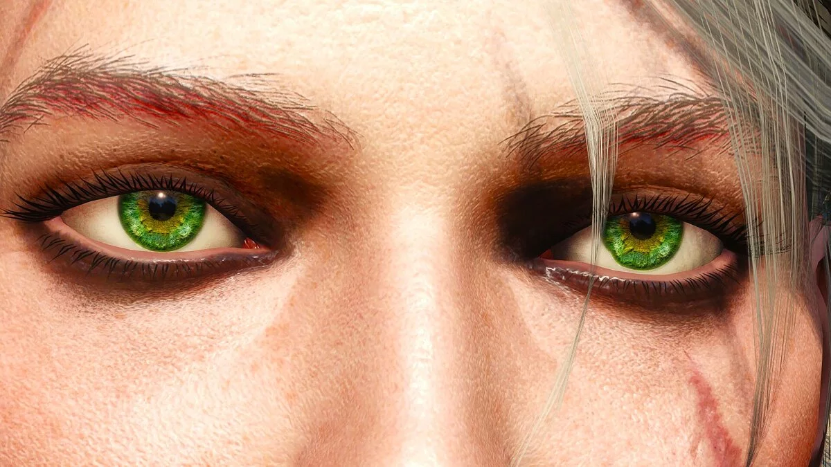 The Witcher 3: Wild Hunt — Реалистичные глаза в 4K