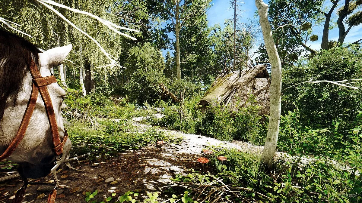 Kingdom Come: Deliverance — Фотореалистичная графика