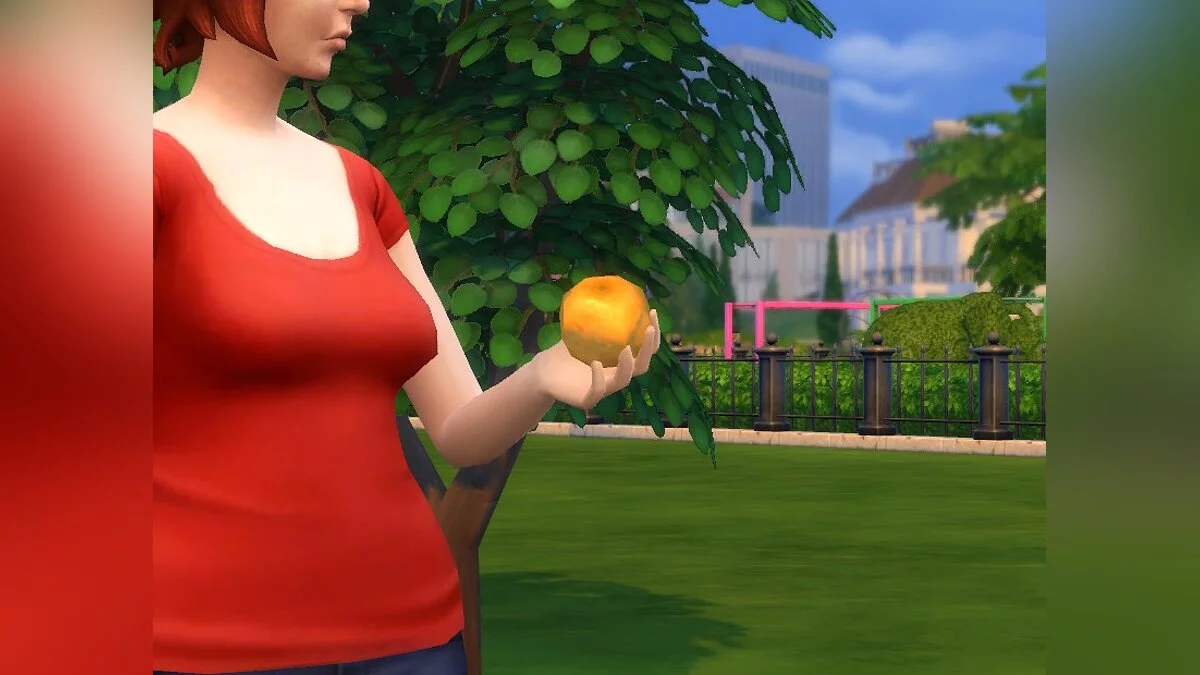 The Sims 4 — Апельсиновое дерево