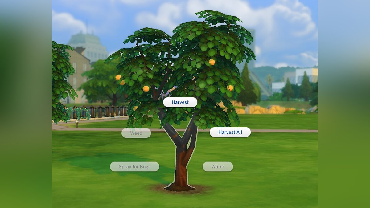 The Sims 4 — Апельсиновое дерево