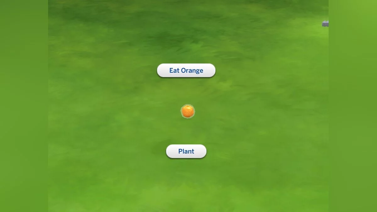 The Sims 4 — Апельсиновое дерево