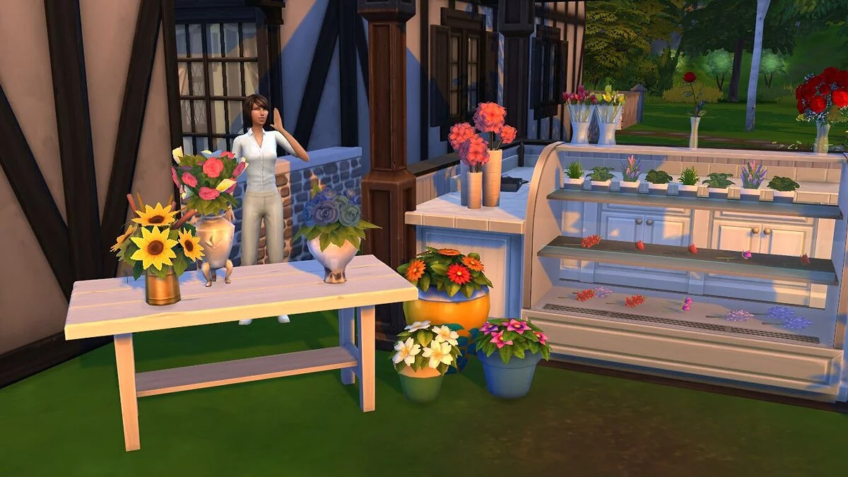 The Sims 4 — Модернизированное оборудование торговли где угодно