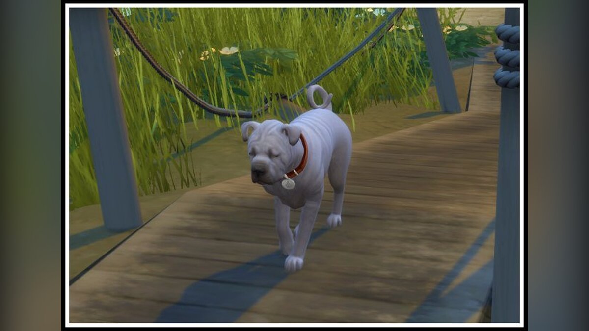 The Sims 4 — Бродящие животные больше не будут больными, грязными, грустными и голодными