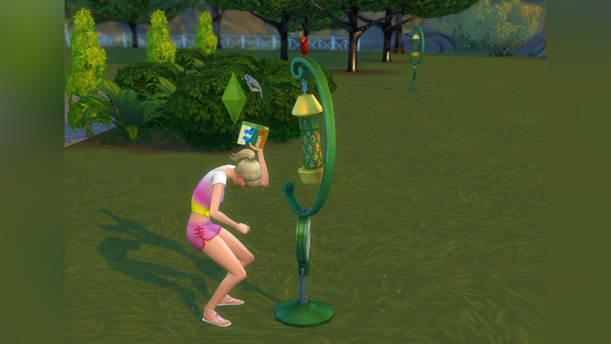 The Sims 4 — Дружелюбные птицы в кормушках