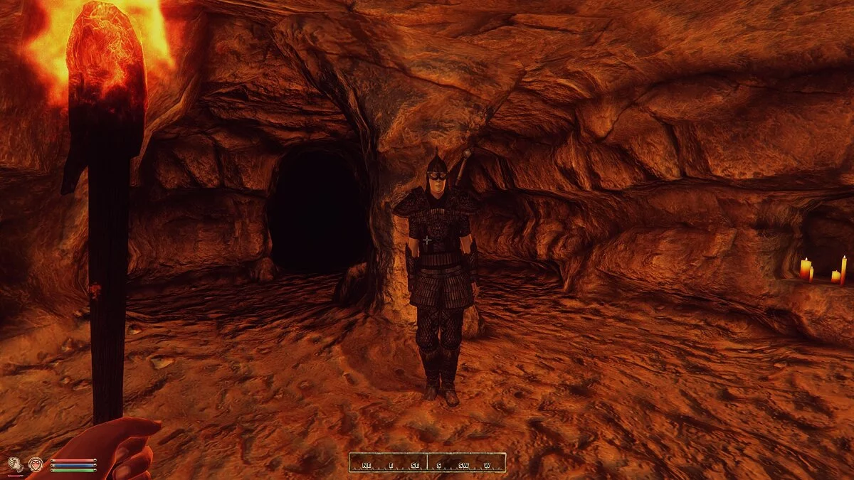 The Elder Scrolls 4: Oblivion — Более сильный вампир Хиндарил