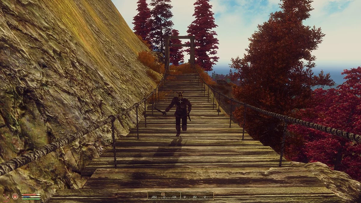 The Elder Scrolls 4: Oblivion — Случайные встречи на дорогах