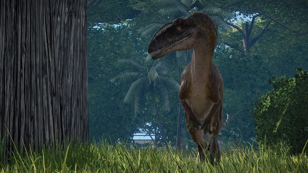 Jurassic World Evolution — Молодой конкавенатор