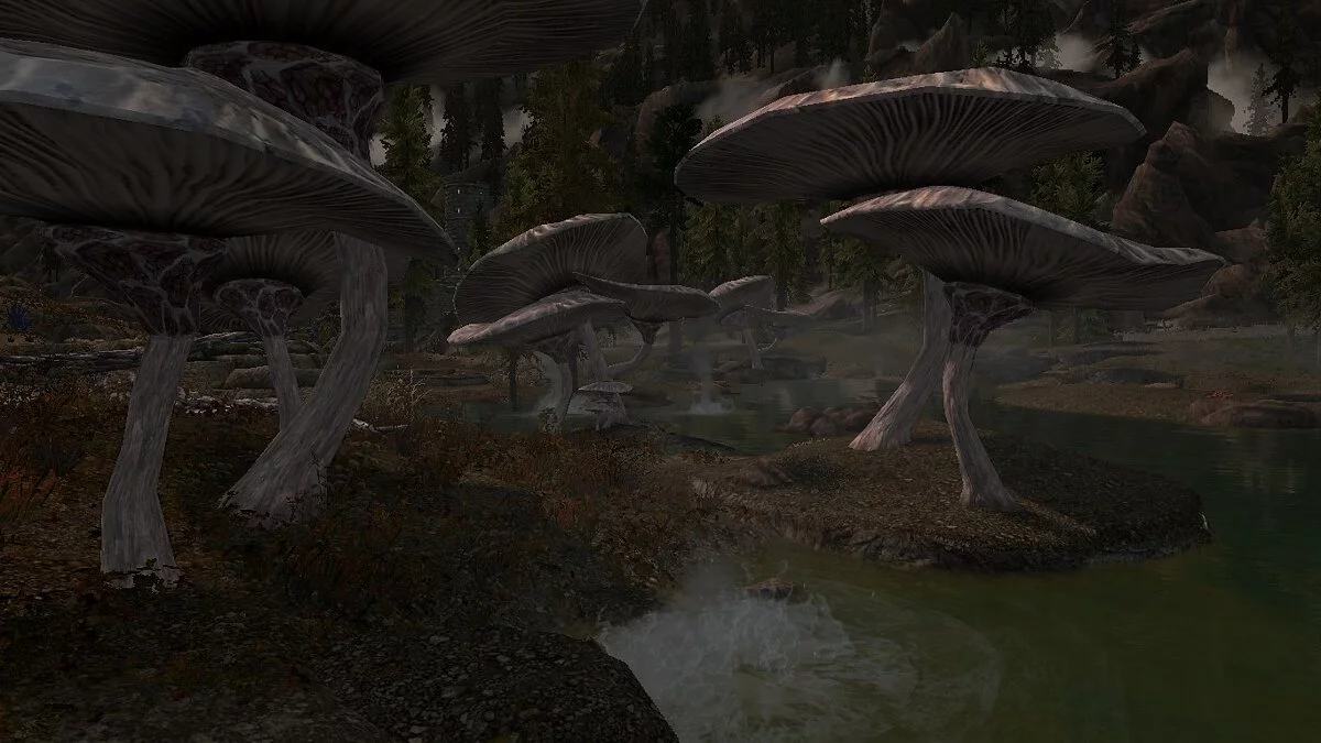 The Elder Scrolls 5: Skyrim Legendary Edition — Грибы в теплых источниках Истмарк