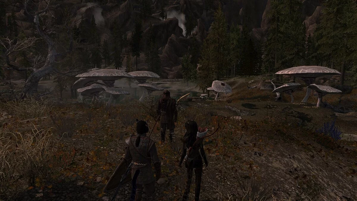 The Elder Scrolls 5: Skyrim Legendary Edition — Грибы в теплых источниках Истмарк