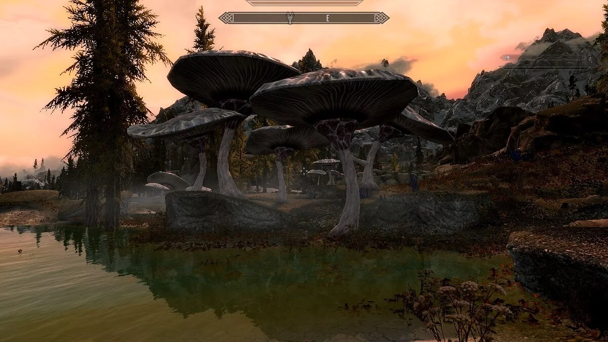 The Elder Scrolls 5: Skyrim Legendary Edition — Грибы в теплых источниках Истмарк