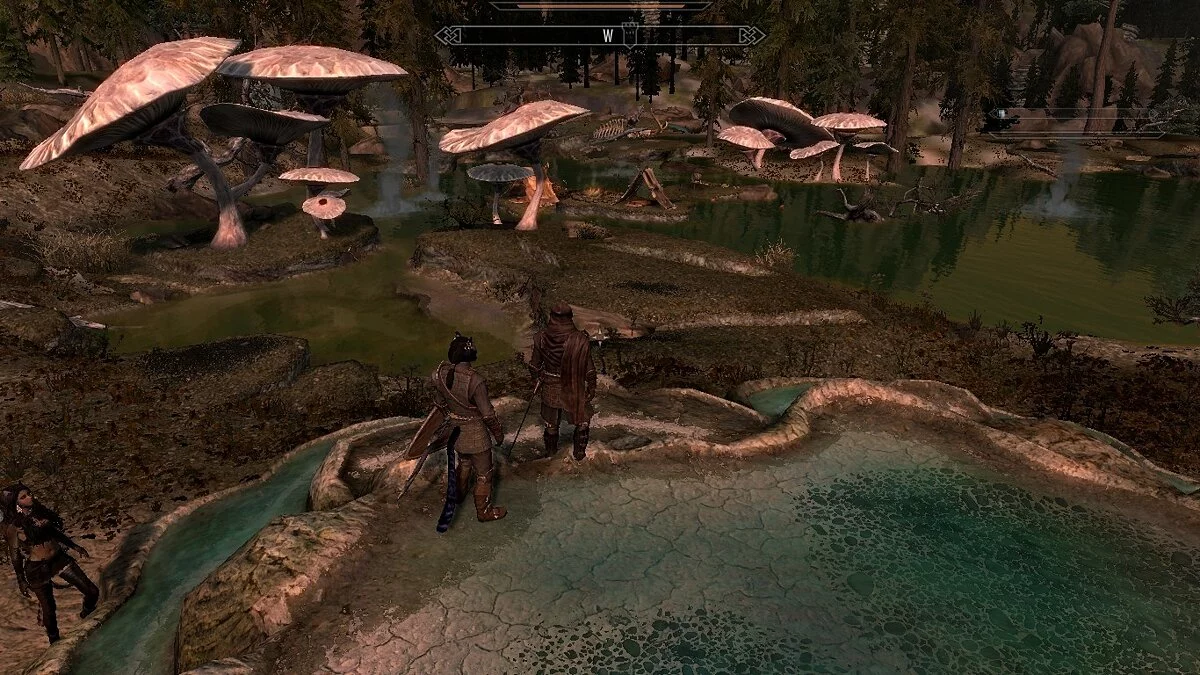 The Elder Scrolls 5: Skyrim Legendary Edition — Грибы в теплых источниках Истмарк