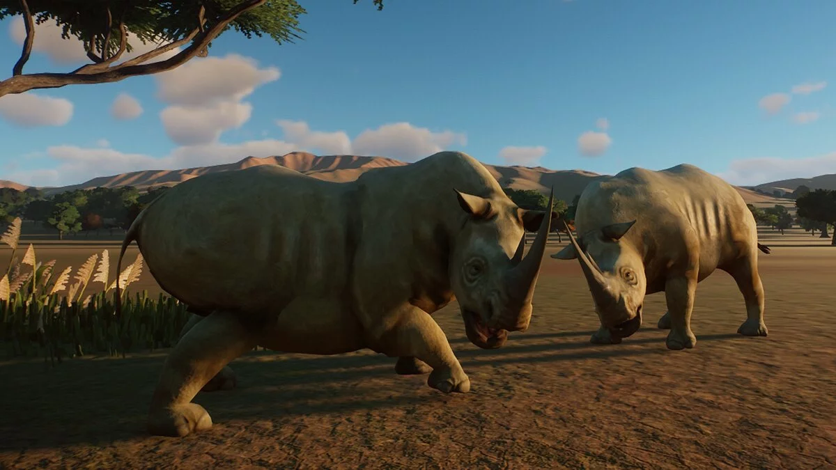 Planet Zoo — Белый носорог