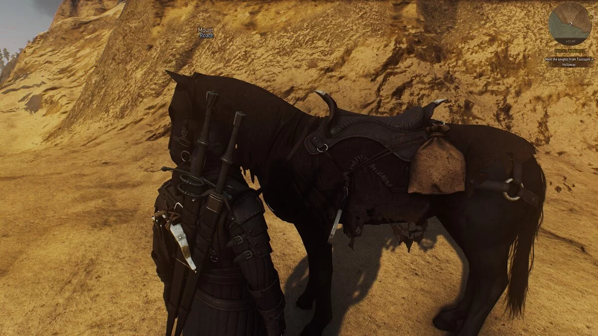 The Witcher 3: Wild Hunt - Complete Edition — Черные трофейные сумки