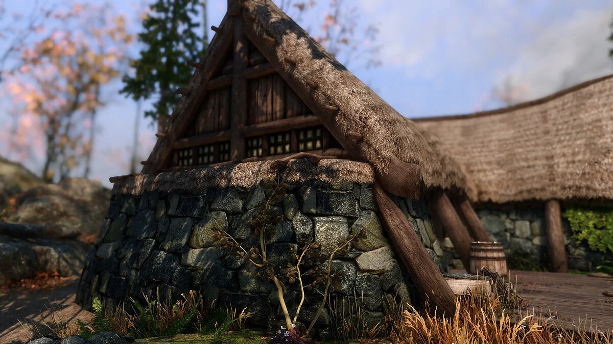 Elder Scrolls 5: Skyrim Special Edition — Фермерские дома и деревни в 4K и 2K