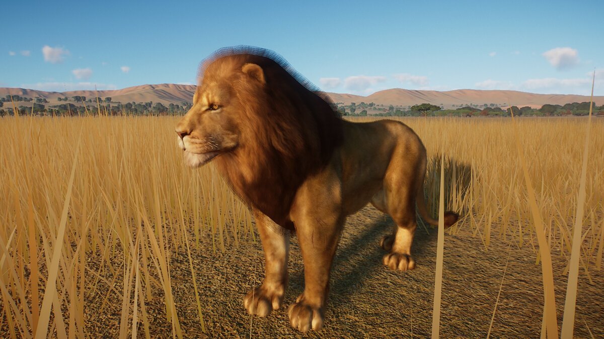 Planet Zoo — Ремастер западноафриканского льва