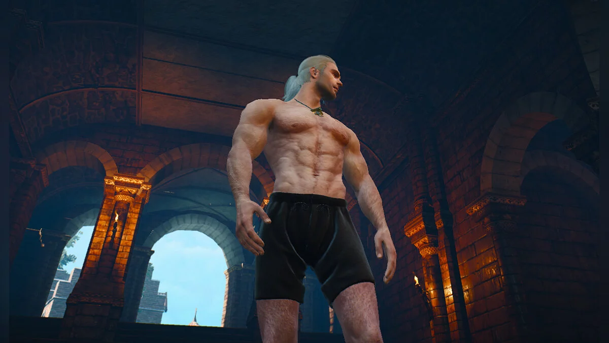 The Witcher 3: Wild Hunt - Complete Edition — Черные боксеры