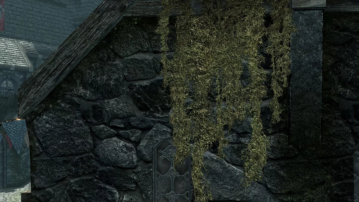 The Elder Scrolls 5: Skyrim Legendary Edition — Висячий мох в 2K