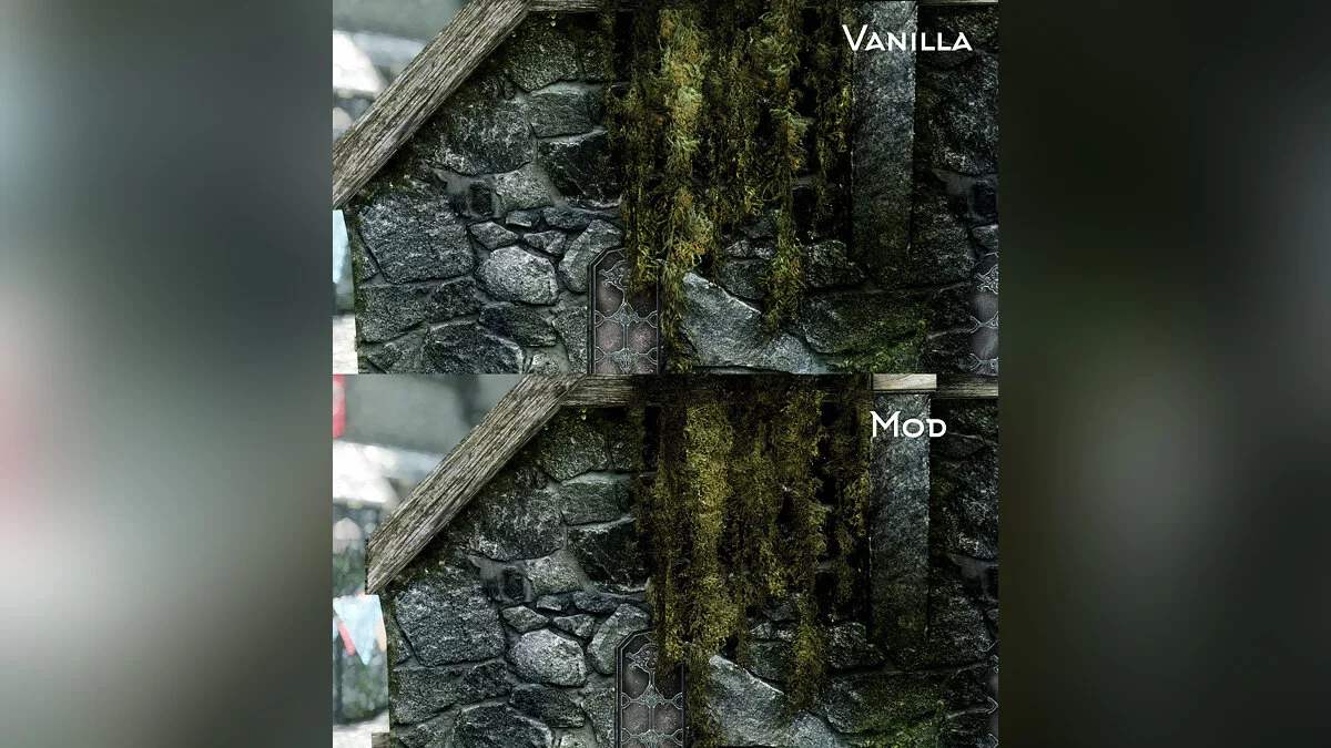 The Elder Scrolls 5: Skyrim Legendary Edition — Висячий мох в 2K