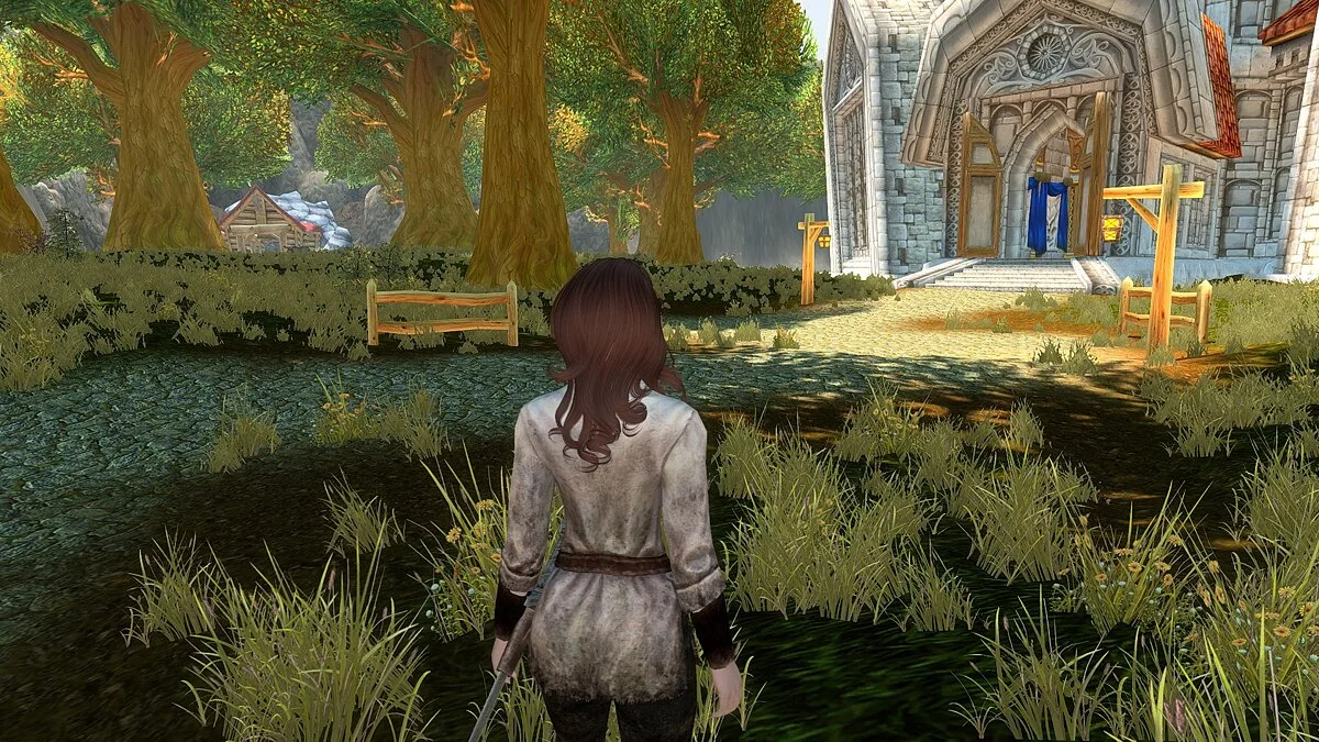 Elder Scrolls 5: Skyrim Special Edition — Азерот в Скайриме