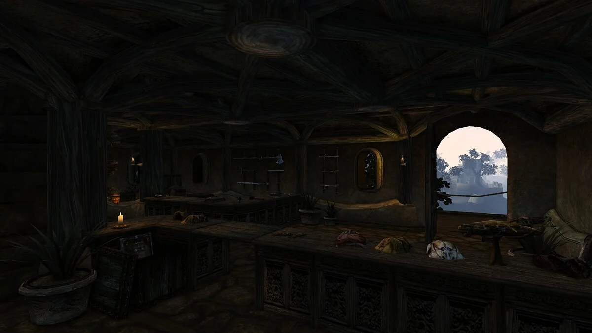 The Elder Scrolls Online: Morrowind — Дом оружейника (без подзагрузки)