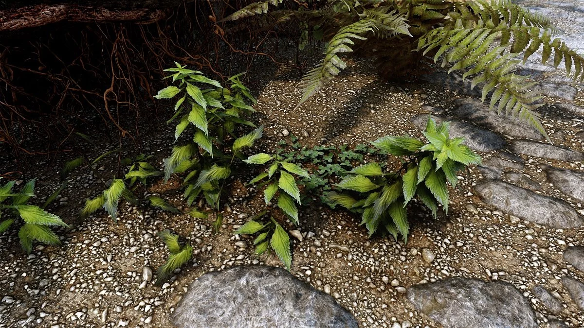 Elder Scrolls 5: Skyrim Special Edition — Улучшенная крапива