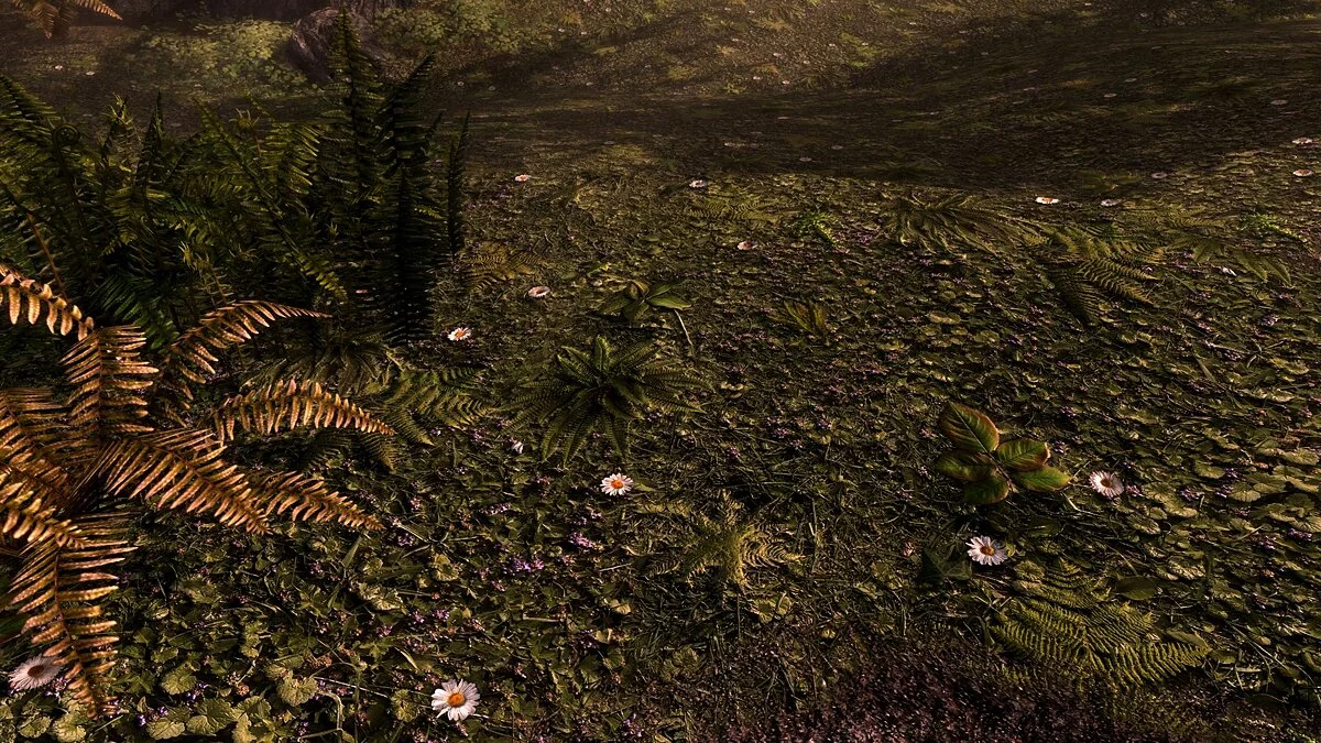 Elder Scrolls 5: Skyrim Special Edition — Улучшенные поля с травой