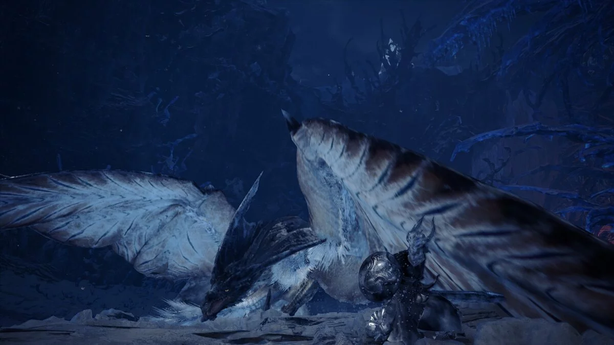 Monster Hunter: World — Щит с изображением медузы