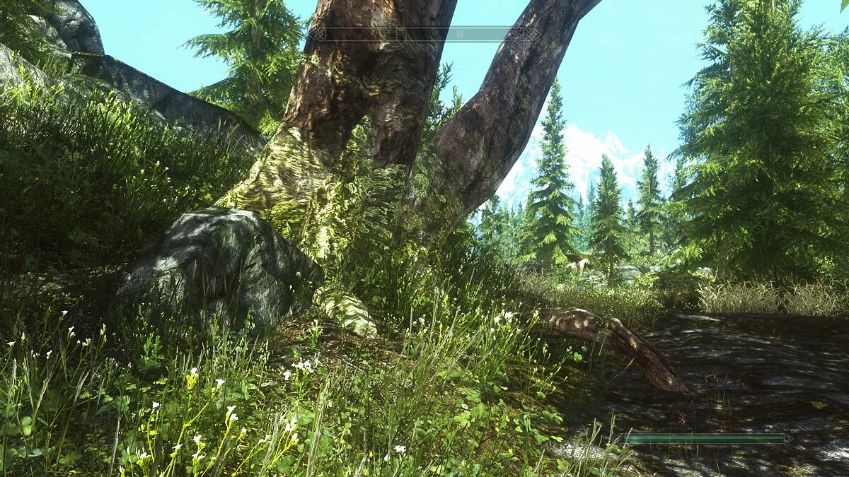 The Elder Scrolls 5: Skyrim Legendary Edition — Новые кусты и деревья