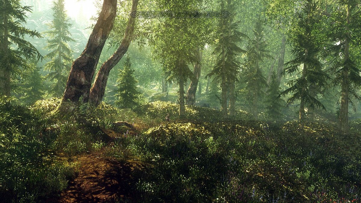 The Elder Scrolls 5: Skyrim Legendary Edition — Новые кусты и деревья