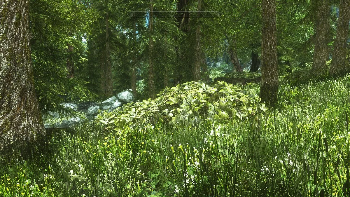 The Elder Scrolls 5: Skyrim Legendary Edition — Новые кусты и деревья