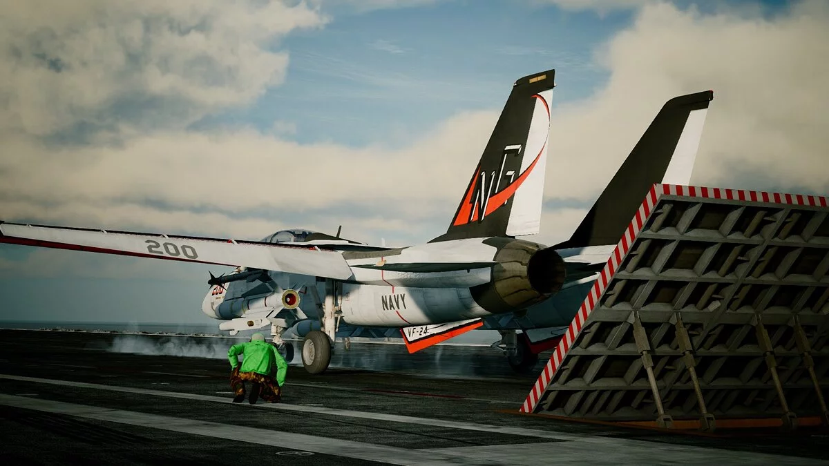 Ace Combat 7: Skies Unknown — Новая раскраска для F-14D