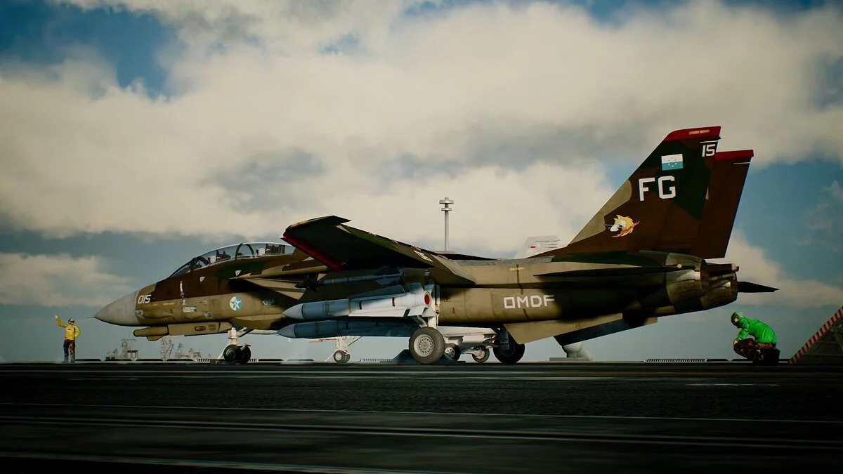 Ace Combat 7: Skies Unknown — Коричневый камуфляж для F-14D