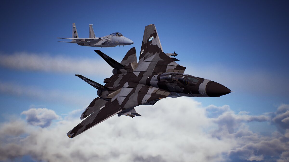 Ace Combat 7: Skies Unknown — Серый камуфляж для F-14D 