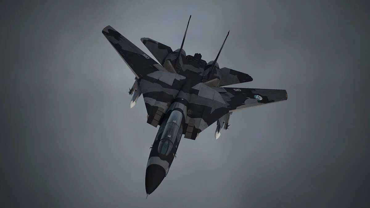 Ace Combat 7: Skies Unknown — Серый камуфляж для F-14D 